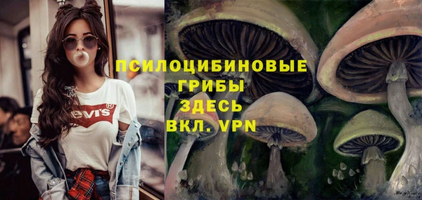 эйфоретик Алексин