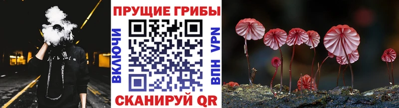 Псилоцибиновые грибы ЛСД  Лихославль 